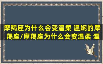 摩羯座为什么会变温柔 温婉的摩羯座/摩羯座为什么会变温柔 温婉的摩羯座-我的网站